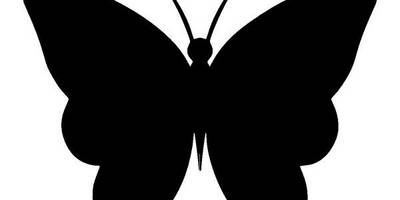 Животные 3016