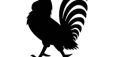 Животные 3465