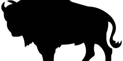 Животные 583