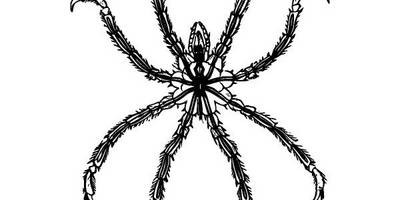 Животные 3834