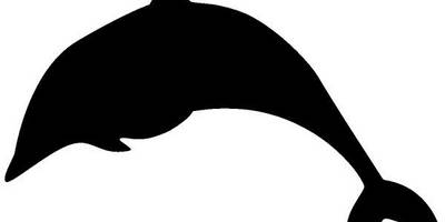 Животные 1936