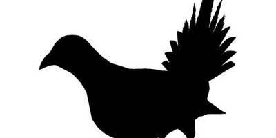 Животные 4027