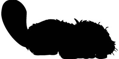 Животные 399