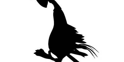 Животные 3533