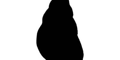 Животные 3903