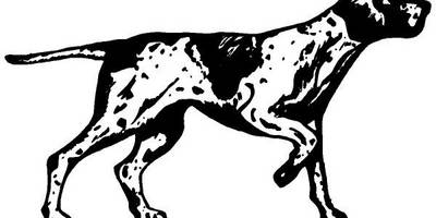 Животные 1083