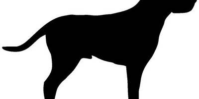 Животные 3121