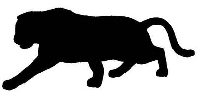 Животные 3355