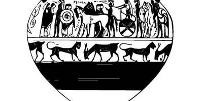 Животные 914