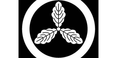 Японский узор 1373