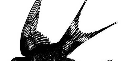 Животные 2681