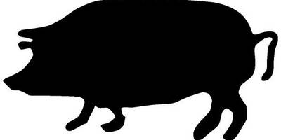 Животные 804