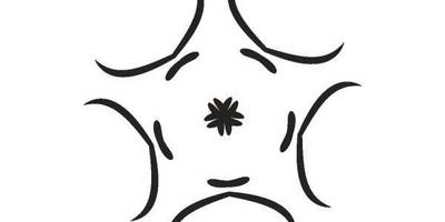 Орнамент цветы 254