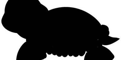 Животные 2865