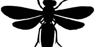 Животные 3812