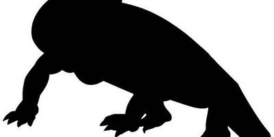 Животные 342