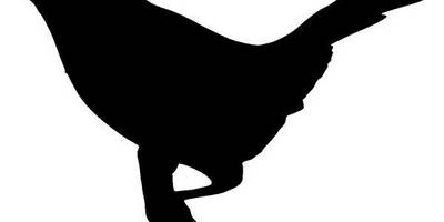 Животные 932