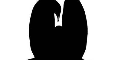 Животные 1265