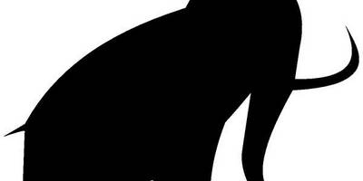 Животные 1239