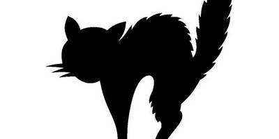 Животные 2898