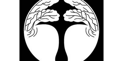 Японский узор 1456