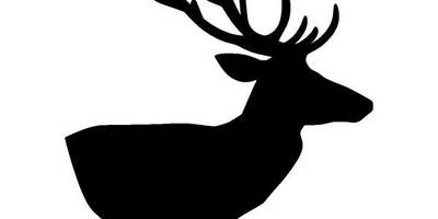 Животные 1144