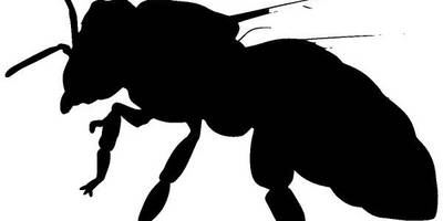 Животные 1467