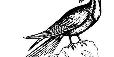 Животные 1075