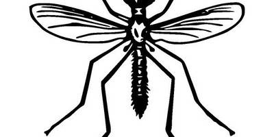 Животные 2850