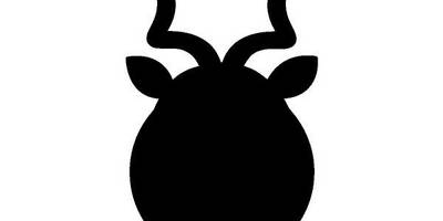 Животные 610