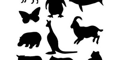 Животные 2709