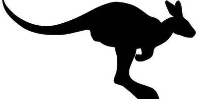 Животные 307