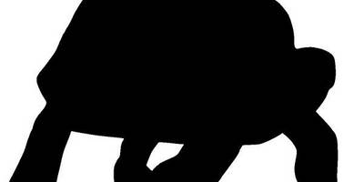 Животные 3233