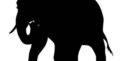 Животные 2150