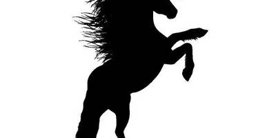 Животные 4020