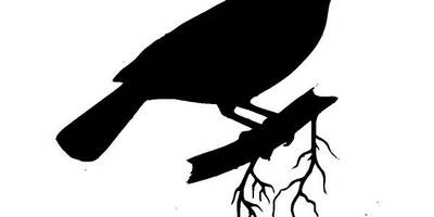 Животные 926