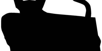 Животные 833