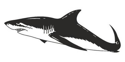 Татуировка 778