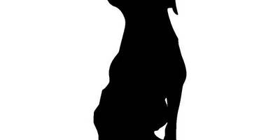 Животные 628