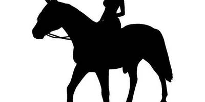 Животные 1169