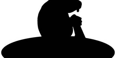 Животные 396