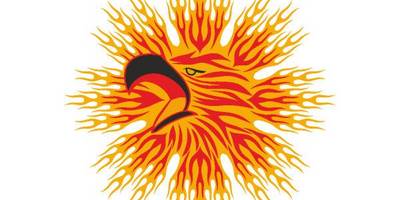 Виниловая наклейка на авто 360