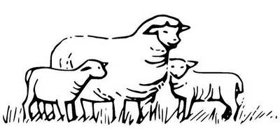 Животные 287