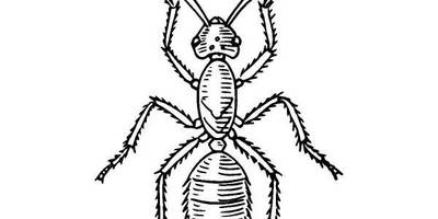 Животные 1254