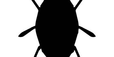 Животные 3058