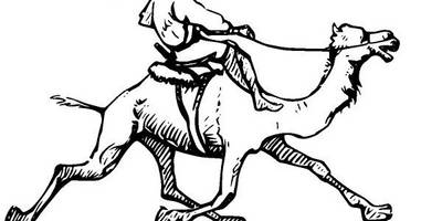 Животные 2592