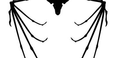 Животные 1320