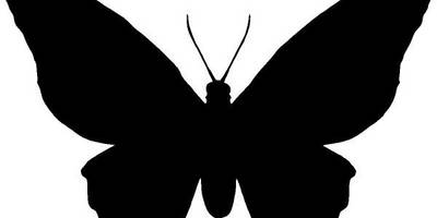 Животные 3137