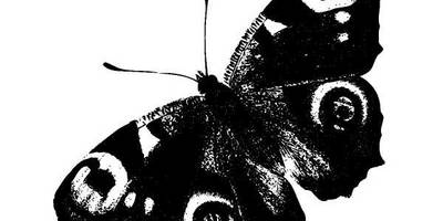 Животные 948