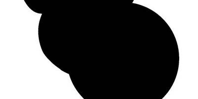 Животные 1638